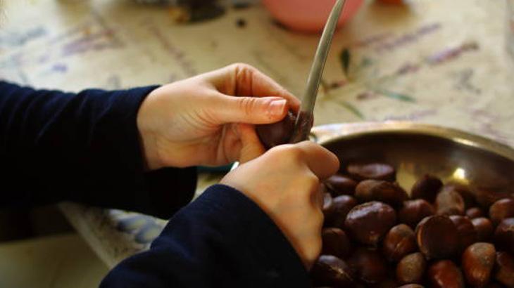 KESTANE SEÇİMİ: LEZZETİN TEMELİ KESTANE SEÇİMİ: LEZZETİN TEMELİ