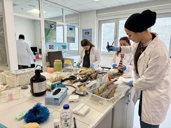 Karadeniz’de tesadüfen bulundu, büyük heyecan yarattı Osmanlı döneminden kalma Karadeniz’de tesadüfen bulundu, büyük heyecan yarattı Osmanlı döneminden kalma