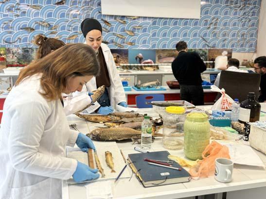 Karadeniz’de tesadüfen bulundu, büyük heyecan yarattı Osmanlı döneminden kalma Karadeniz’de tesadüfen bulundu, büyük heyecan yarattı Osmanlı döneminden kalma