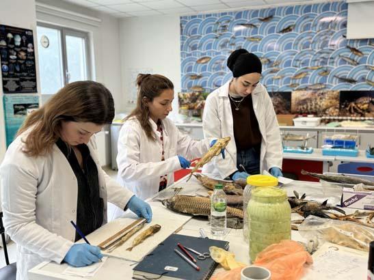 Karadeniz’de tesadüfen bulundu, büyük heyecan yarattı Osmanlı döneminden kalma Karadeniz’de tesadüfen bulundu, büyük heyecan yarattı Osmanlı döneminden kalma