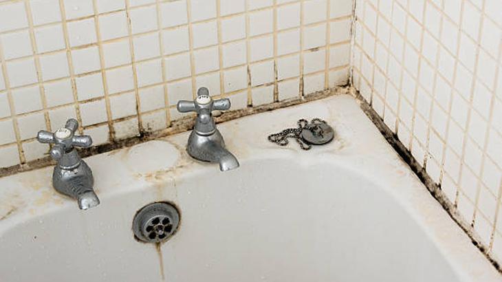 DOĞAL TEMİZLEYİCİ HAZIRLAMA