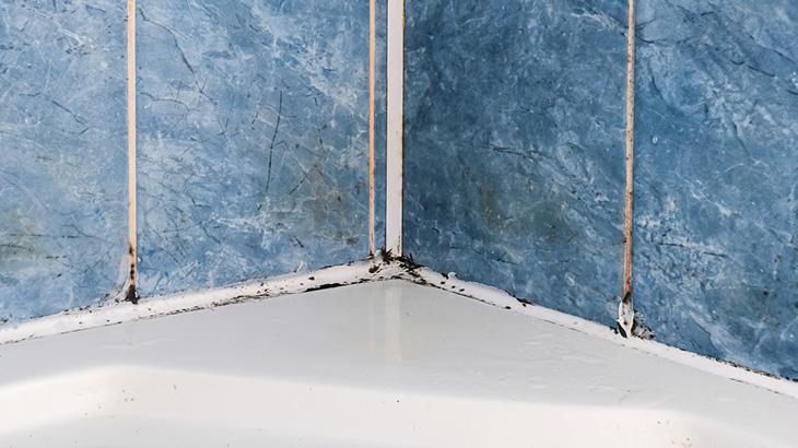 KÜF VE LEKELERDEN KORUNMAK İÇİN NE YAPILMALI