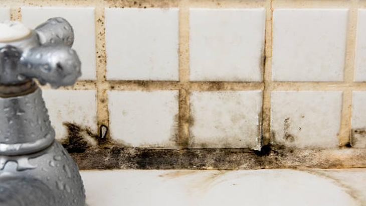 ÜÇ DAKİKADA ETKİLİ TEMİZLİK