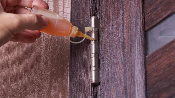 KAPI GICIRTISININ NEDENLERİ