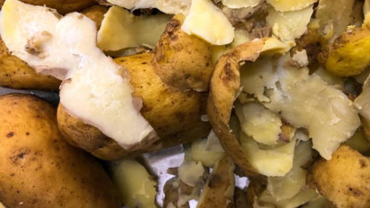 PATATES KABUKLARI