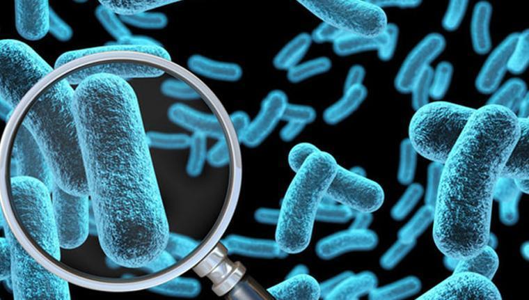 SALMONELLA TEDAVİSİ VAR MI SALMONELLA TEDAVİSİ VAR MI