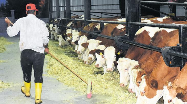 Tarımda maliyet artışı sürüyor