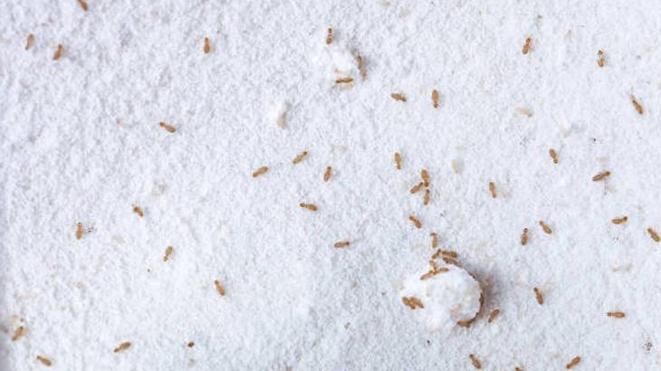 5. UNUN SAKLANDIĞI YERİN TEMİZLİĞİNE DİKKAT EDİN