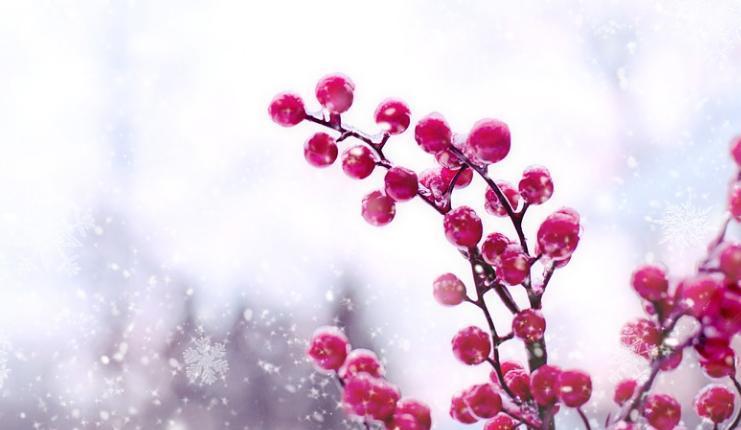 SON DAKİKA HAVA DURUMU