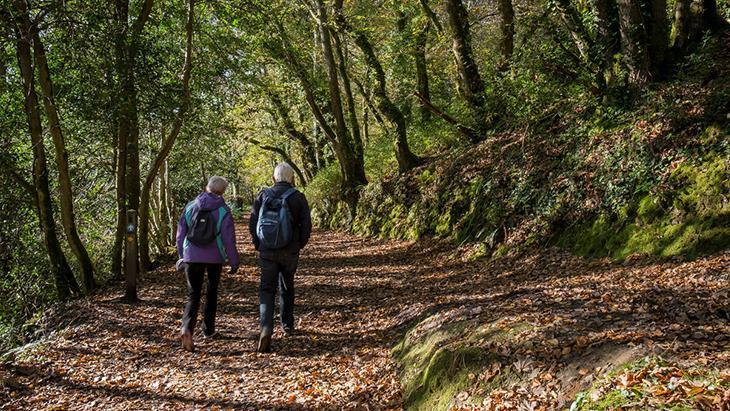 2- Fiziksel aktiviteyi ihmal etmek