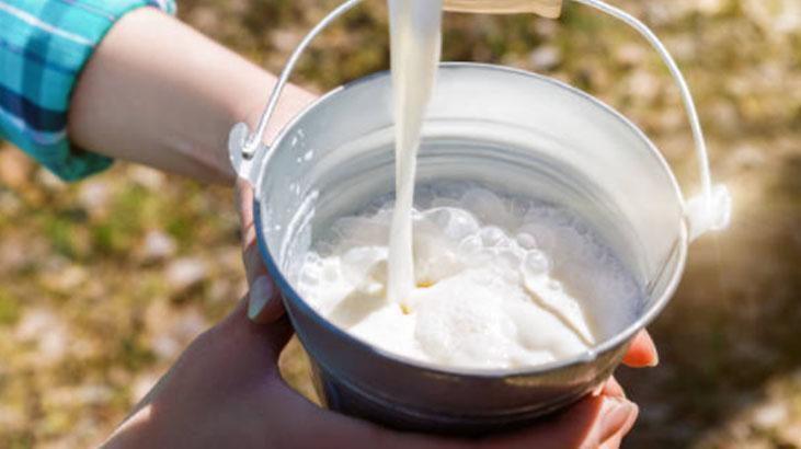 İçine bir çimdik atınca süt asla ekşimiyor Günlerce taptaze kalacak, sırrı beyazda İçine bir çimdik atınca süt asla ekşimiyor Günlerce taptaze kalacak, sırrı beyazda