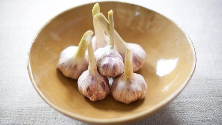 1 kaşık çay sarımsakları böyle koruyor Aylarca ilk günkü gibi taptaze kalacak