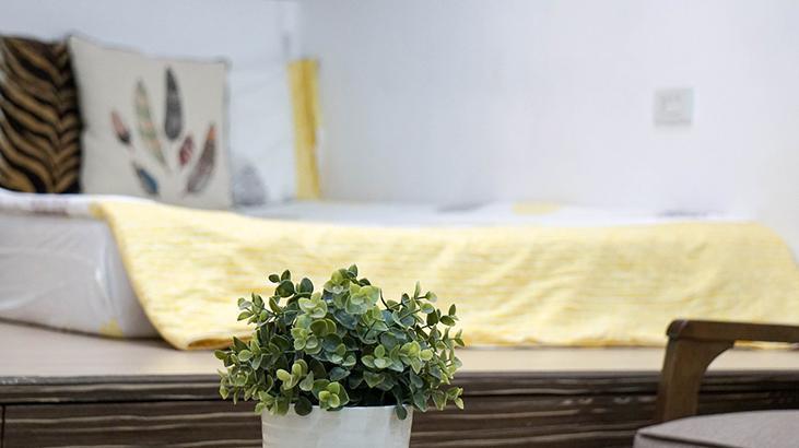 Güneş girmese de doktor girmeyecek Karanlık evleri aydınlatmanın bir yolu var