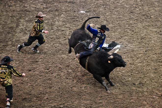Californiada rodeo yarışı: Ünlü kovboy da katıldı