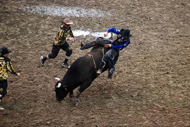 Californiada rodeo yarışı: Ünlü kovboy da katıldı
