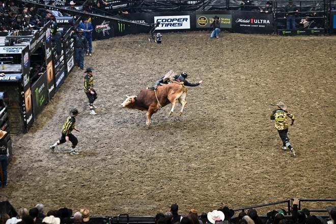 Californiada rodeo yarışı: Ünlü kovboy da katıldı