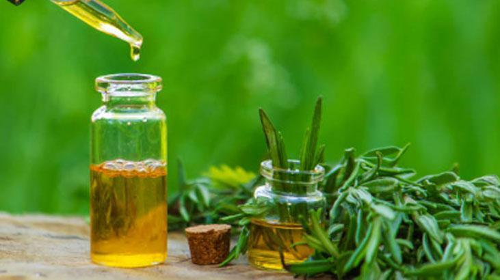 Saçından yağ damlayanlara özel tarif İlk seferde etki ediyor, her gün yıkamaya son