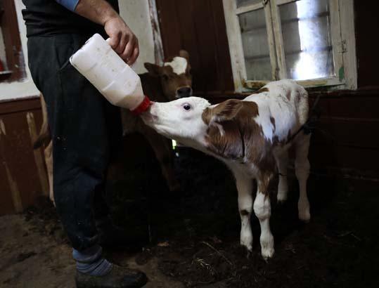 ‘HER ŞEYİ KENDİM YAPIYORUM’ ‘HER ŞEYİ KENDİM YAPIYORUM’