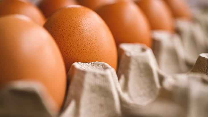 1- Yumurtanın sınıfı