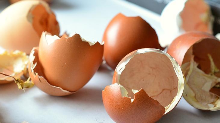 Yumurtanın kalitesi sarısında mı gizli En sağlıklısını seçmenin bir yolu var
