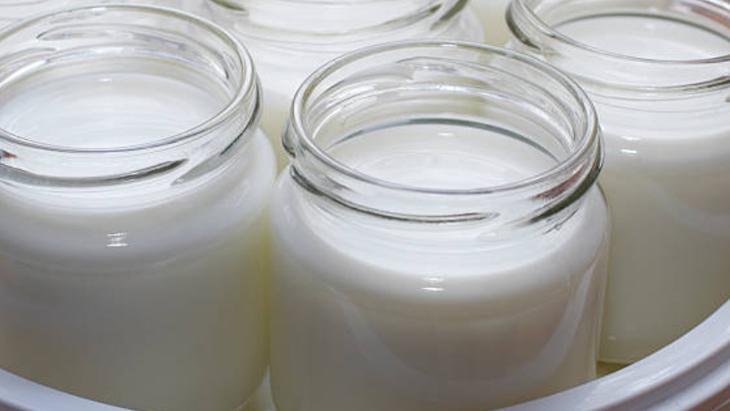 MAYASI TUTMAYAN YOĞURT NASIL KURTARILIR