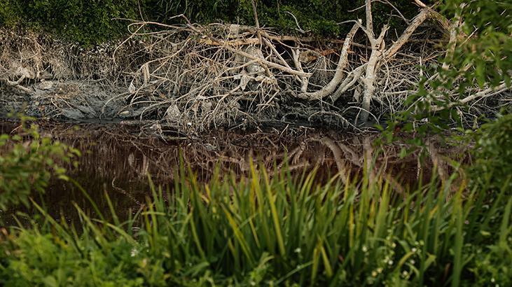 Arjantinde Sarandi Kanalının rengi kırmızıya döndü Arjantinde Sarandi Kanalının rengi kırmızıya döndü