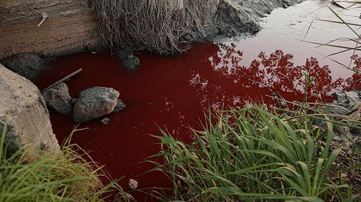 Arjantinde Sarandi Kanalının rengi kırmızıya döndü Arjantinde Sarandi Kanalının rengi kırmızıya döndü