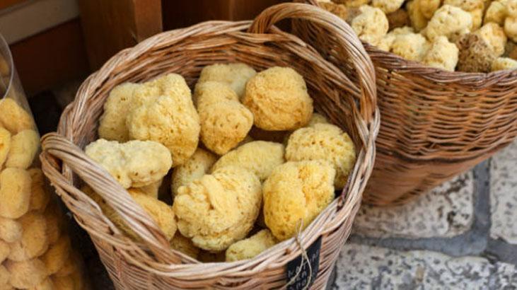 Sadece duşta değil, bulaşıkta da kurtarıcı Kabaktan gelen sağlık, süngeri atın