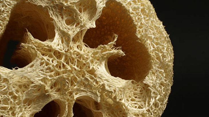 Sadece duşta değil, bulaşıkta da kurtarıcı Kabaktan gelen sağlık, süngeri atın