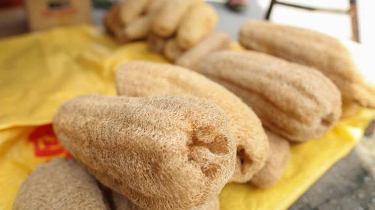 Sadece duşta değil, bulaşıkta da kurtarıcı Kabaktan gelen sağlık, süngeri atın