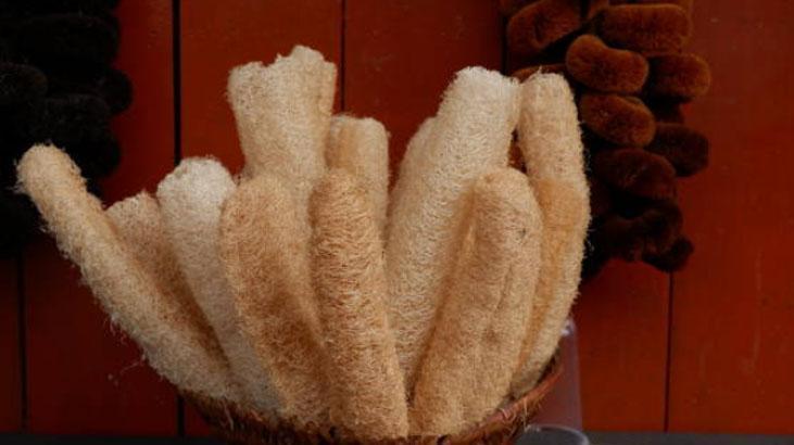 Sadece duşta değil, bulaşıkta da kurtarıcı Kabaktan gelen sağlık, süngeri atın