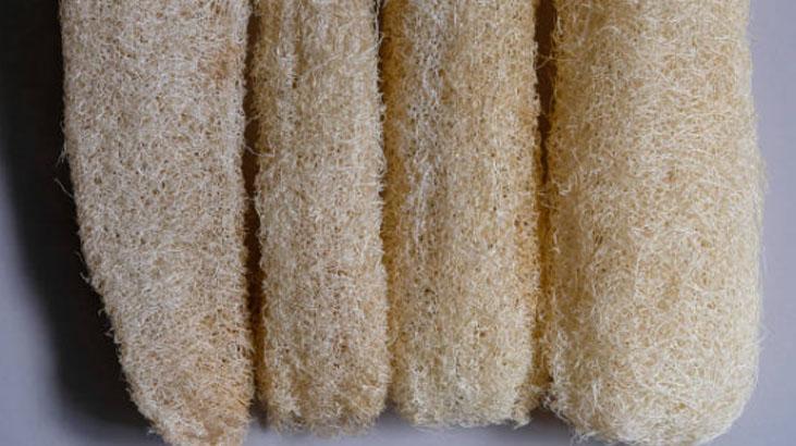 Sadece duşta değil, bulaşıkta da kurtarıcı Kabaktan gelen sağlık, süngeri atın