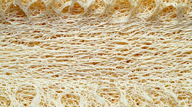 Sadece duşta değil, bulaşıkta da kurtarıcı Kabaktan gelen sağlık, süngeri atın