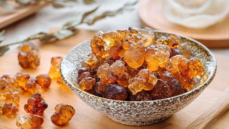 Şeftali ağacının gövdesinden sızan mucize sakız Hem yaşlanma hem de hastalanma karşıtı Şeftali ağacının gövdesinden sızan mucize sakız Hem yaşlanma hem de hastalanma karşıtı