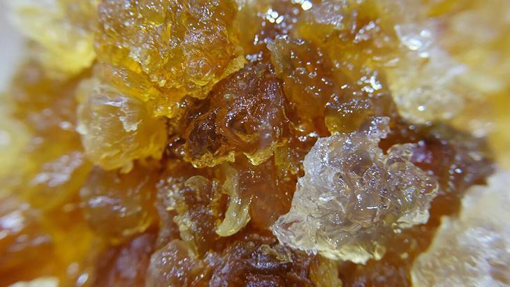 Şeftali ağacının gövdesinden sızan mucize sakız Hem yaşlanma hem de hastalanma karşıtı Şeftali ağacının gövdesinden sızan mucize sakız Hem yaşlanma hem de hastalanma karşıtı