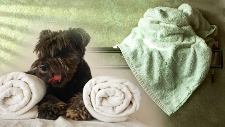 ONLARI PARÇALARA AYIRIN