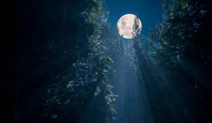 DOLUNAYIN BURÇLARA ETKİLERİ DOLUNAYIN BURÇLARA ETKİLERİ