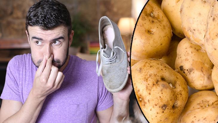 NEMİ VE KOKUYU EMER