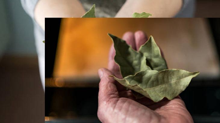 Defne yaprağı çamaşır yıkamada devrim yarattı Etkileri mucize gibi, arasına koyun