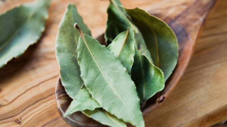 Defne yaprağı çamaşır yıkamada devrim yarattı Etkileri mucize gibi, arasına koyun