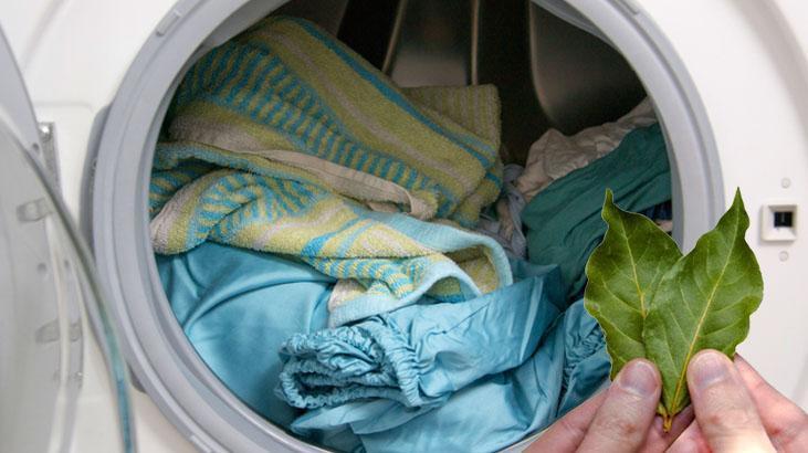 Defne yaprağı çamaşır yıkamada devrim yarattı Etkileri mucize gibi, arasına koyun