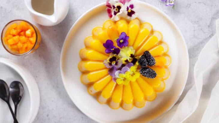 Hindistan cevizli mango puding