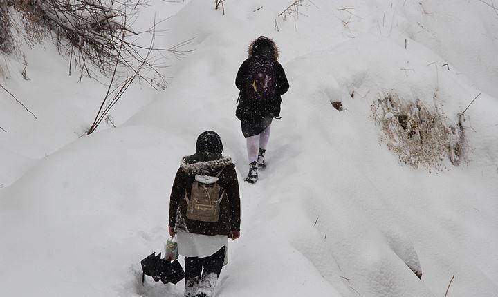 SON DAKİKA MUŞTA OKULLAR TATİL OLDU