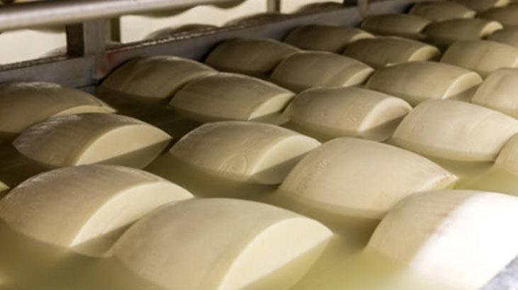 Su yerine ekmeğe katınca 20 gün taze kalıyor Kendinden aromalı, ağızda dağılacak