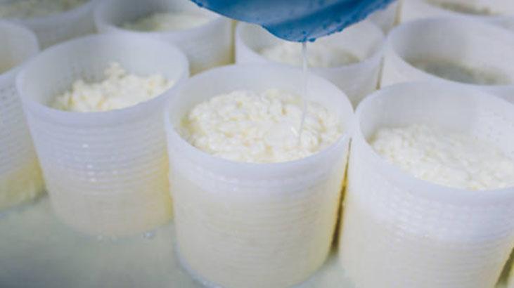 Su yerine ekmeğe katınca 20 gün taze kalıyor Kendinden aromalı, ağızda dağılacak