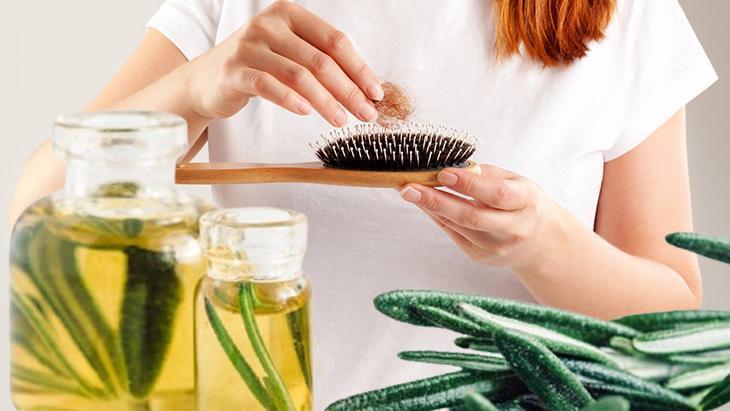 Saç dökülmesinde popüler çözüm: Biberiye Haftada 2 veya 3 kez kullanmak yeterli Saç dökülmesinde popüler çözüm: Biberiye Haftada 2 veya 3 kez kullanmak yeterli