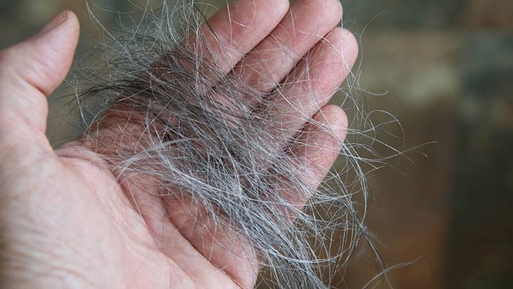 Saç dökülmesinde popüler çözüm: Biberiye Haftada 2 veya 3 kez kullanmak yeterli Saç dökülmesinde popüler çözüm: Biberiye Haftada 2 veya 3 kez kullanmak yeterli