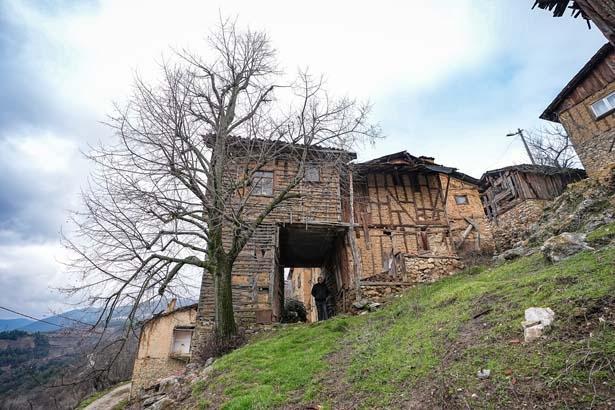 Şehre giden köye dönüyor: Kafasına göre bir hayat, kendi işini yapma şansı var
