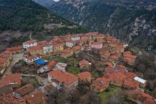 Şehre giden köye dönüyor: Kafasına göre bir hayat, kendi işini yapma şansı var
