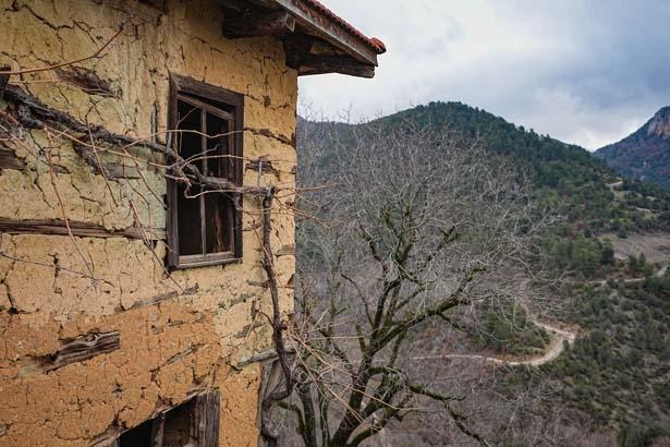 Şehre giden köye dönüyor: Kafasına göre bir hayat, kendi işini yapma şansı var